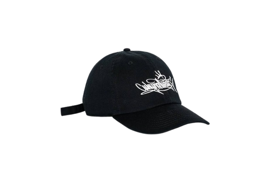 Why Not Wear Dad Cap WNW Black