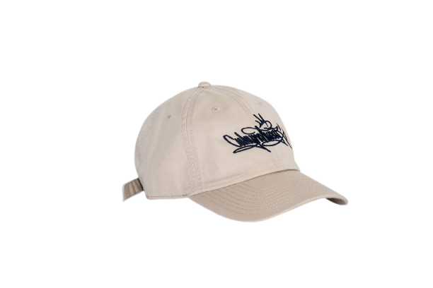 Why Not Wear Dad Cap WNW Sand