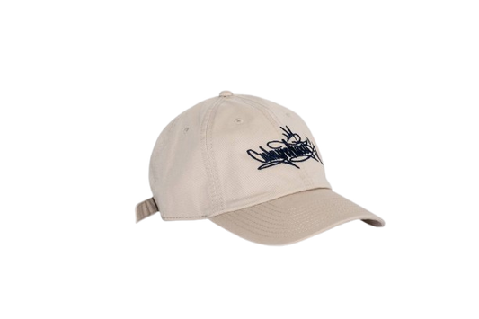 Why Not Wear Dad Cap WNW Sand