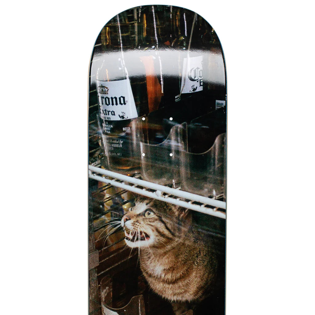 GX1000 Bodega Cat 8.5"