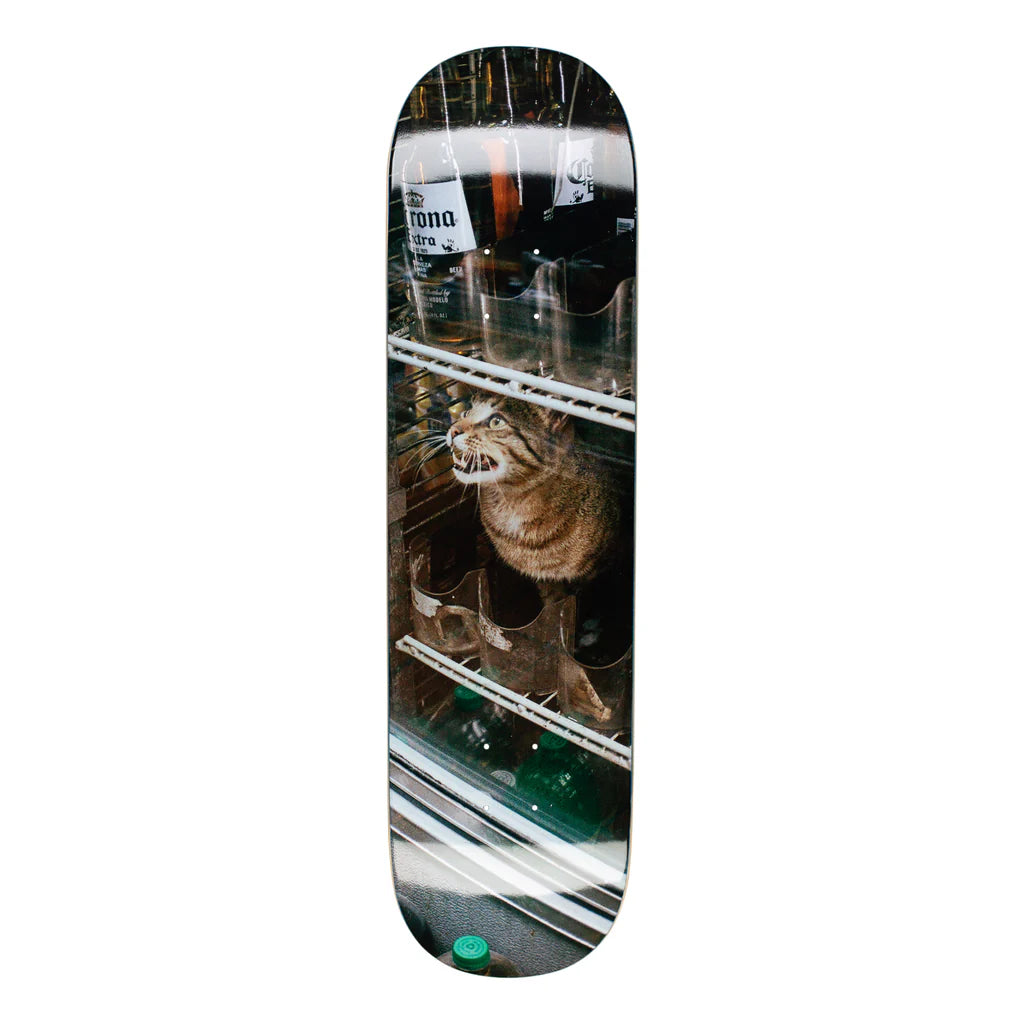 GX1000 Bodega Cat 8.5"