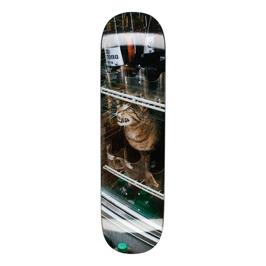 GX1000 Bodega Cat 8.5"