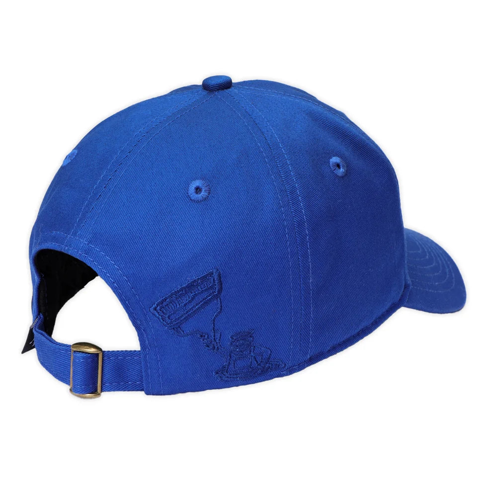 Pass~Port Shop Rules Packers Cap