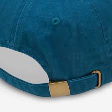 Polar Skate Co. Remy Cap