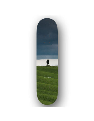 Plazaboards Penni x Plaza 8.25"