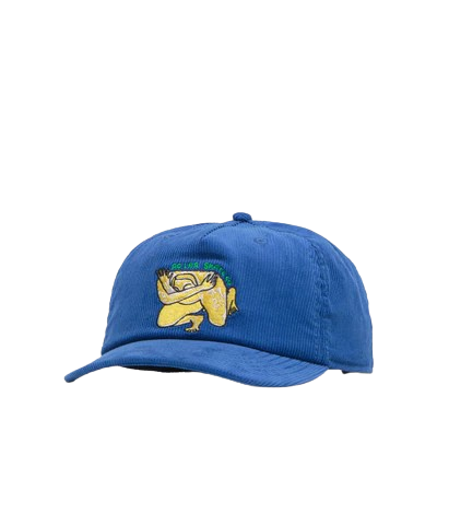 Polar Skate Co. James Cap