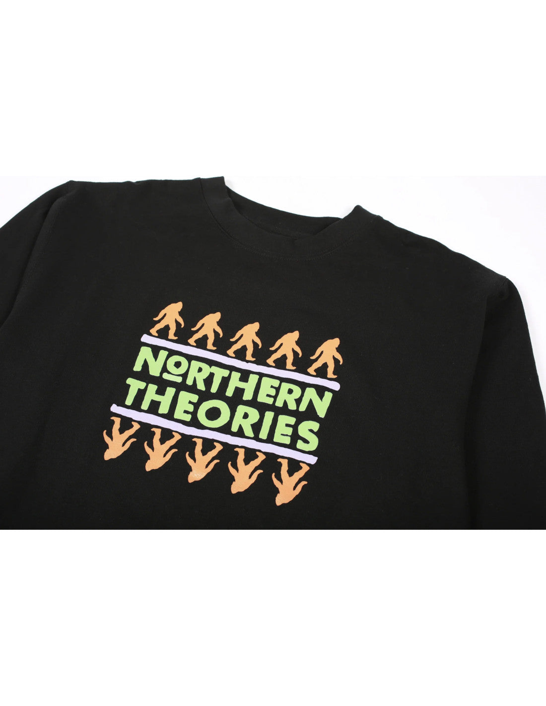 theories brand northern theories crewneck